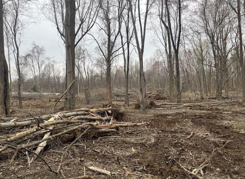 Land Clearing