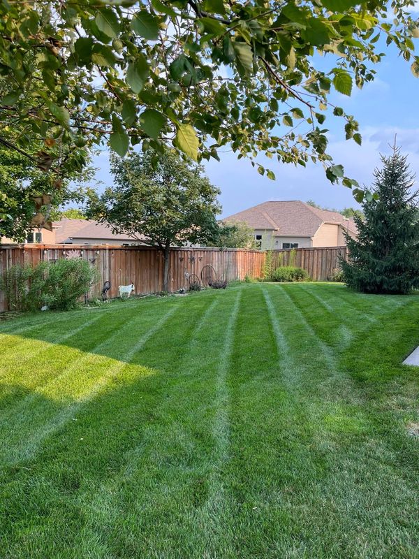Lawn Maintenance