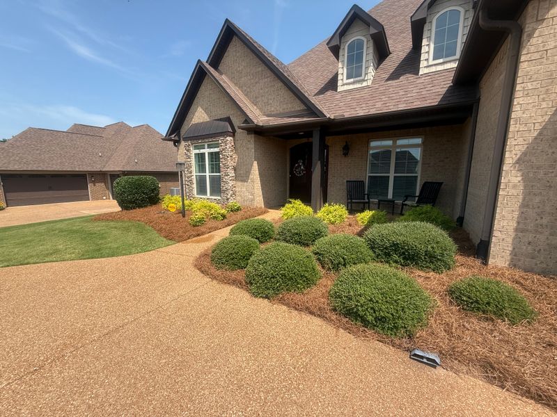 Landscape Design