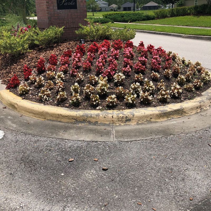 Landscaping and Other Services