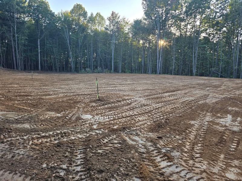 Site Preparation