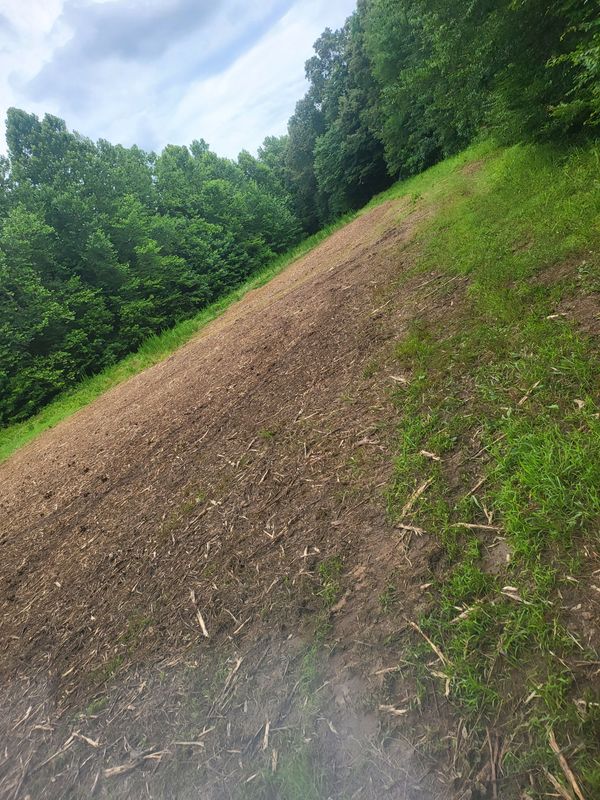 Land Clearing