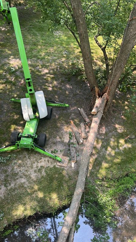 Tree jobs
