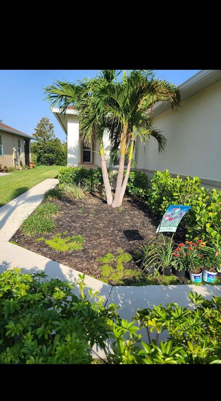 Landscape Design and Installation