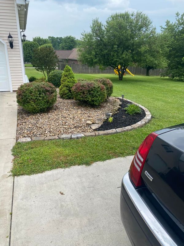 Shrub Trimming