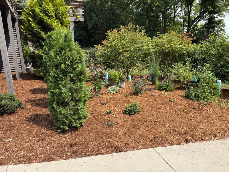 Landscape Maintenance
