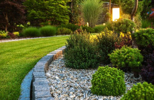 Shrub Trimming