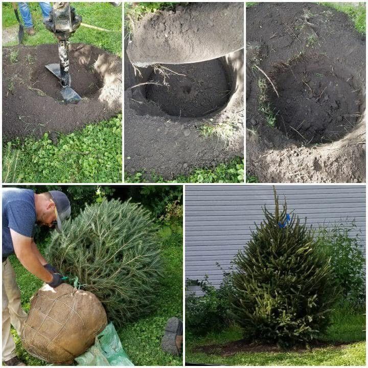 Landscape Design