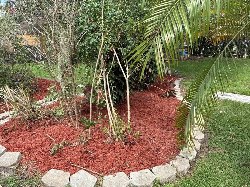 Tree and Hedge Care