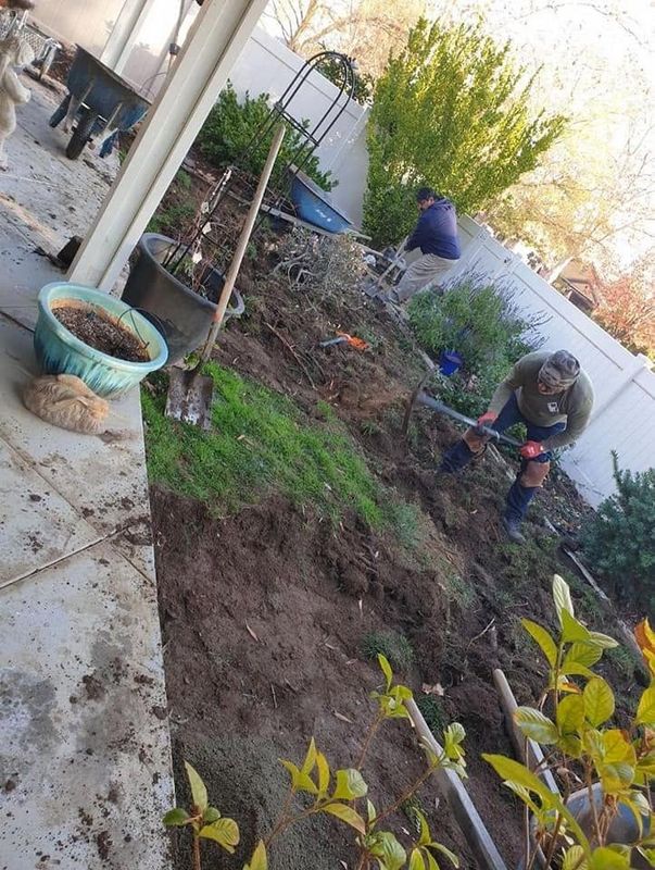 Landscaping