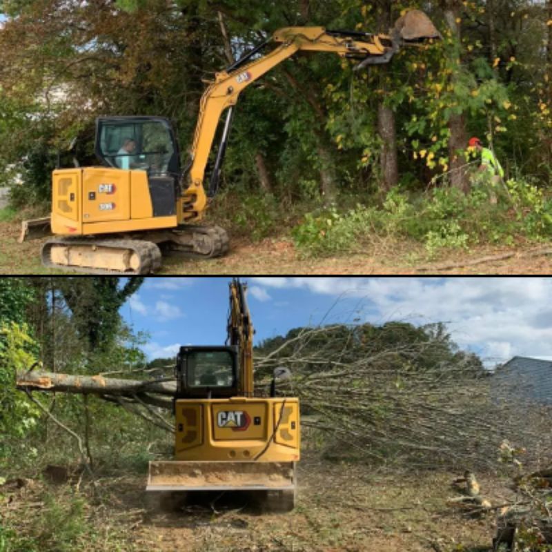 Land Clearing