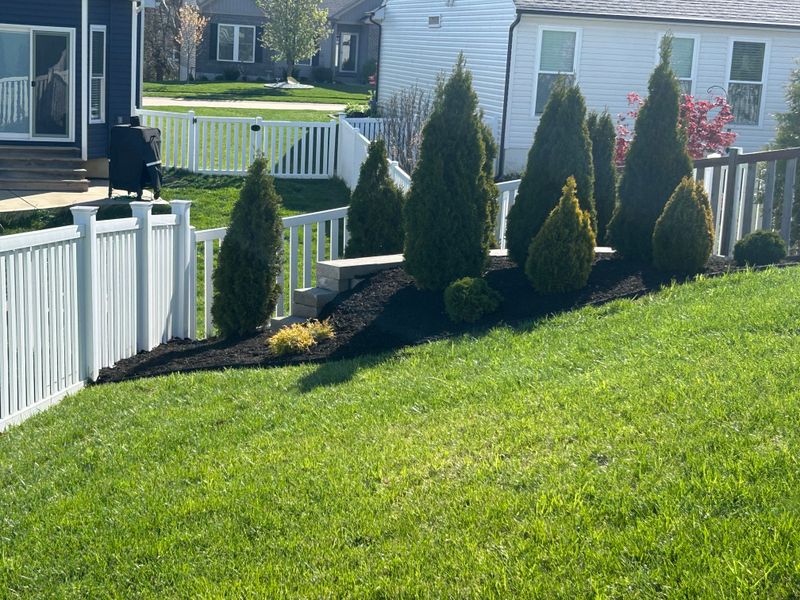 Tree and Shrub Care
