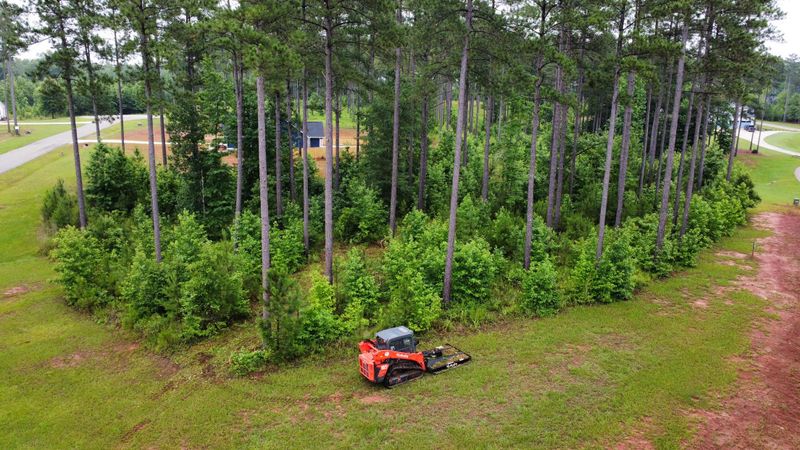 Land clearing and underbrush clearing
