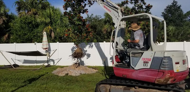 Landscaping