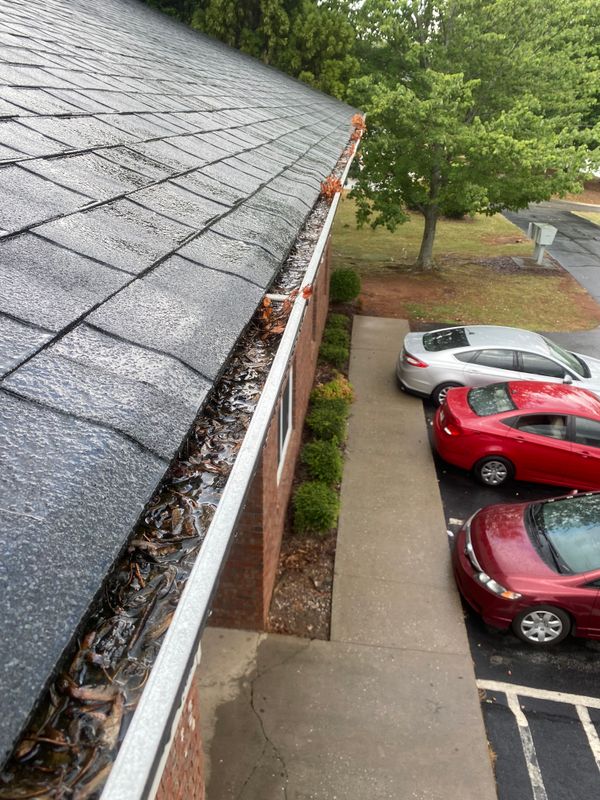 Gutter cleaning
