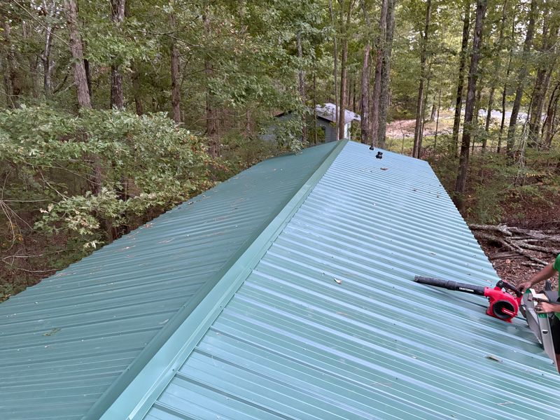 Gutter Cleaning