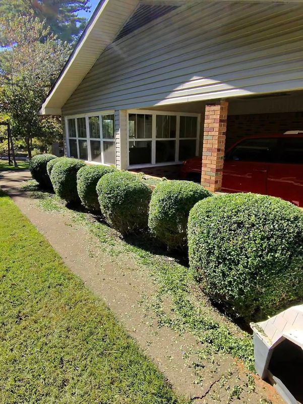 Hedge Trimming