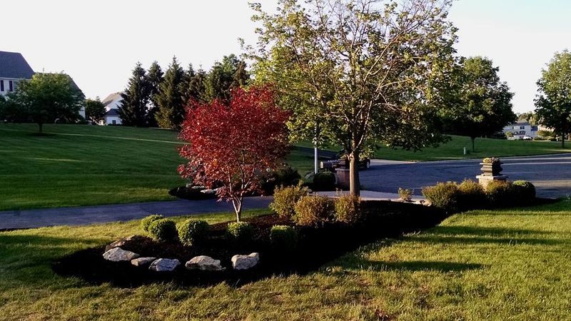 New landscapes. Plantings and mulch