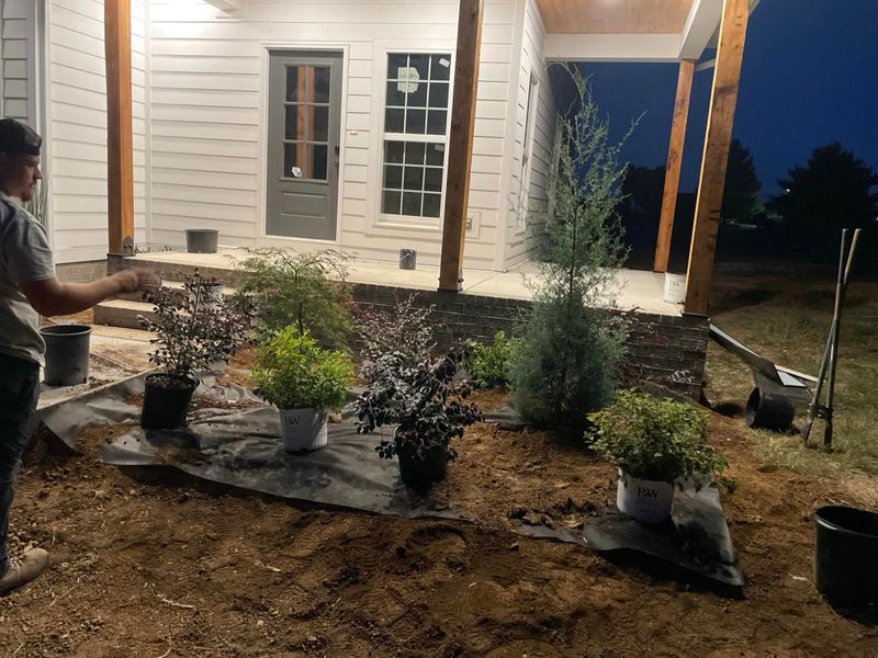 Landscape Installation and Design