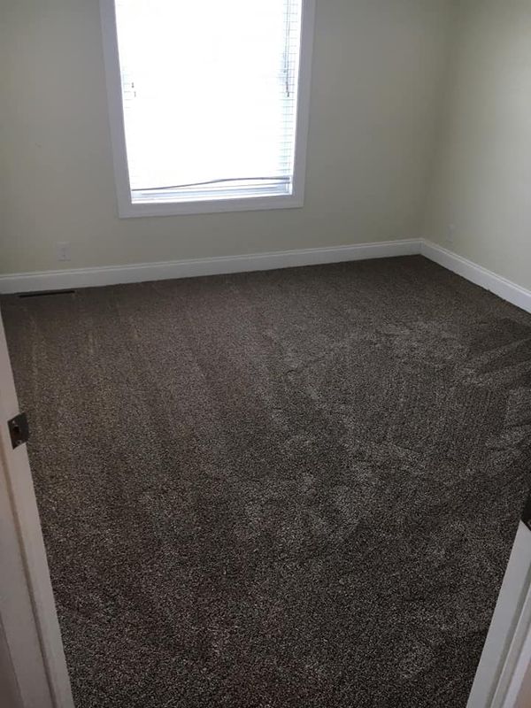 Carpet Cleaning