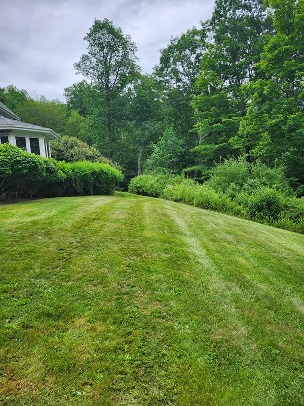 Lawn Mowing