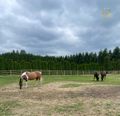 Fencing gallery