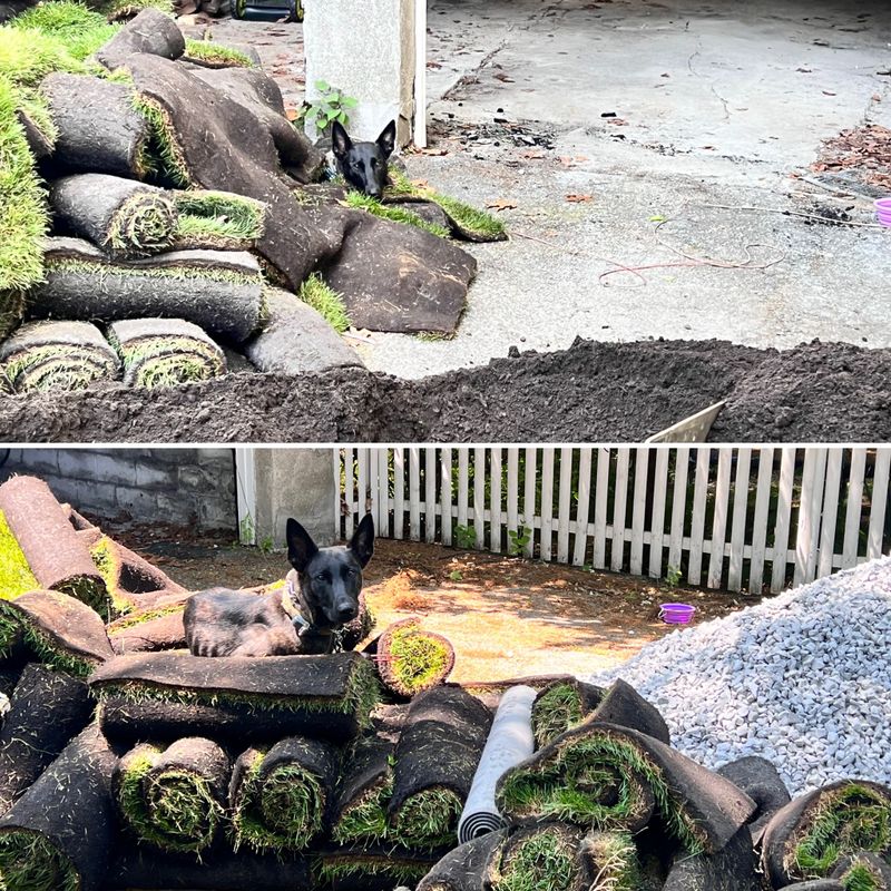 Landscaping