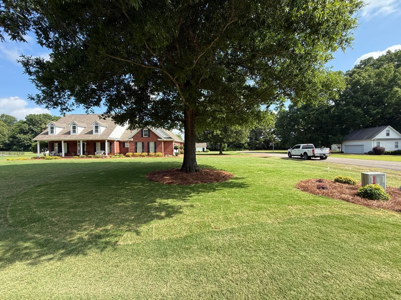 Lawn Maintenance