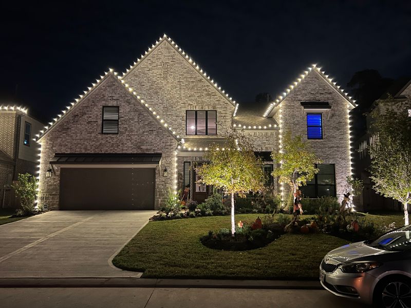 Landscape Lighting