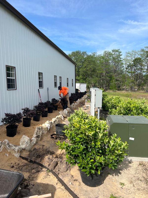 Landscape Design and Installation