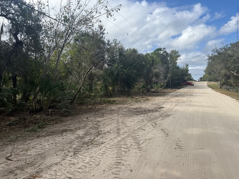 Land Clearing