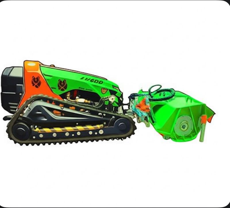 Vegetation Removal // Brush Removal
