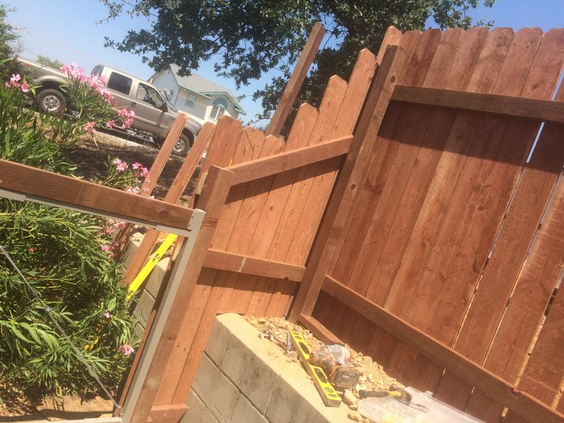 FENCE PICTURES