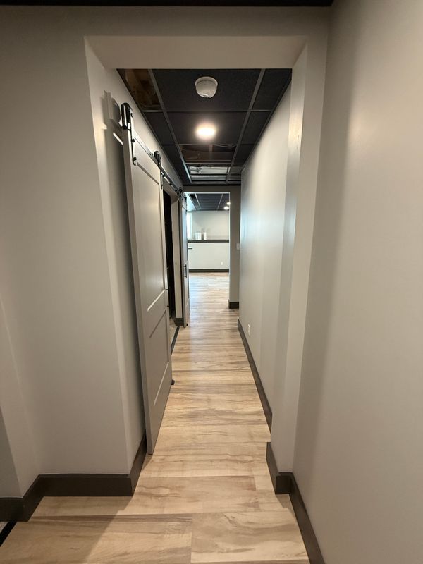 Basement Renovation