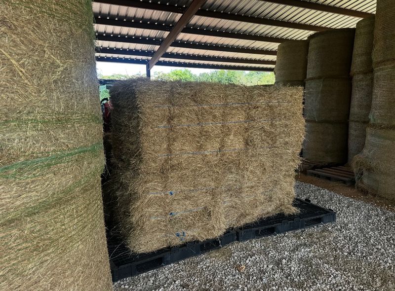 Square Bale Hay