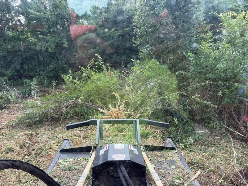 Land Clearing