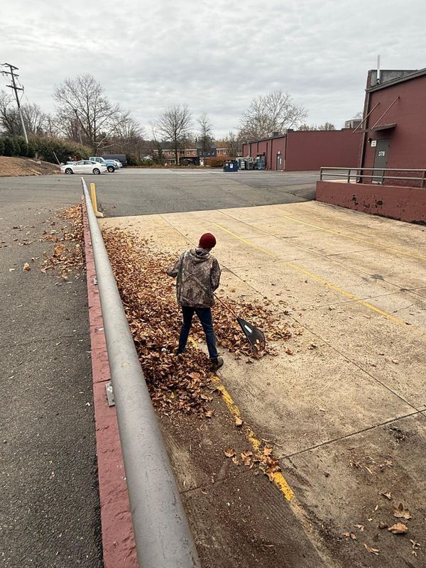 Leaf Removal
