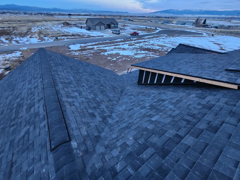Shingle and Metal Roofs