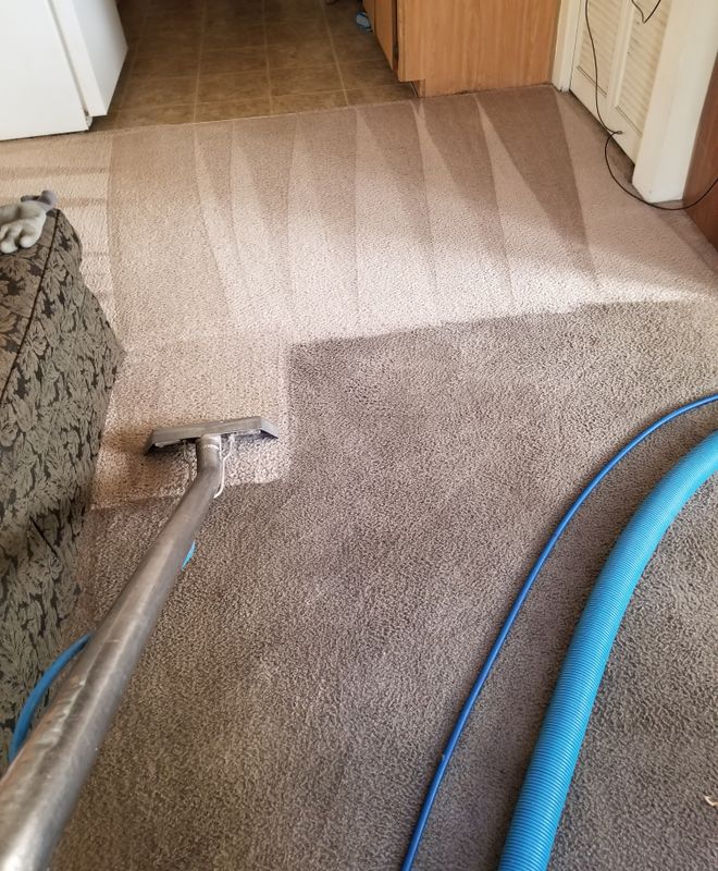 Carpet Cleaning gallery