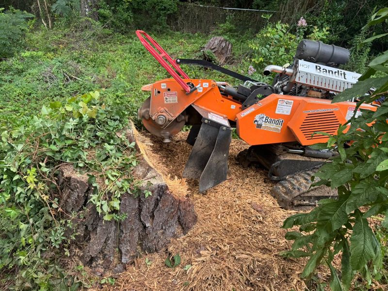 Stump Grinding gallery
