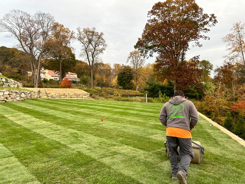 Landscaping