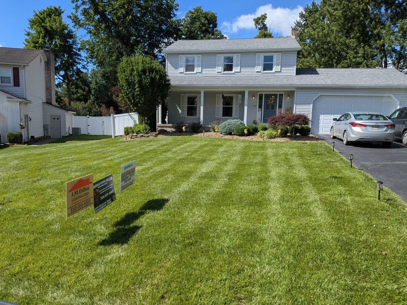 Lawn Maintenance