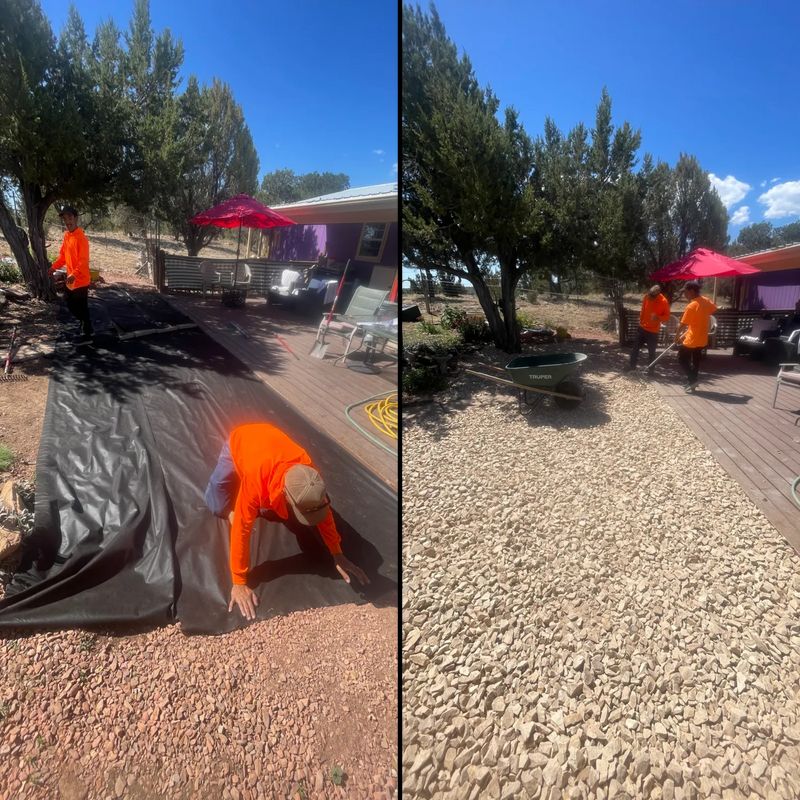 Mulch Bed Installation and Renovation