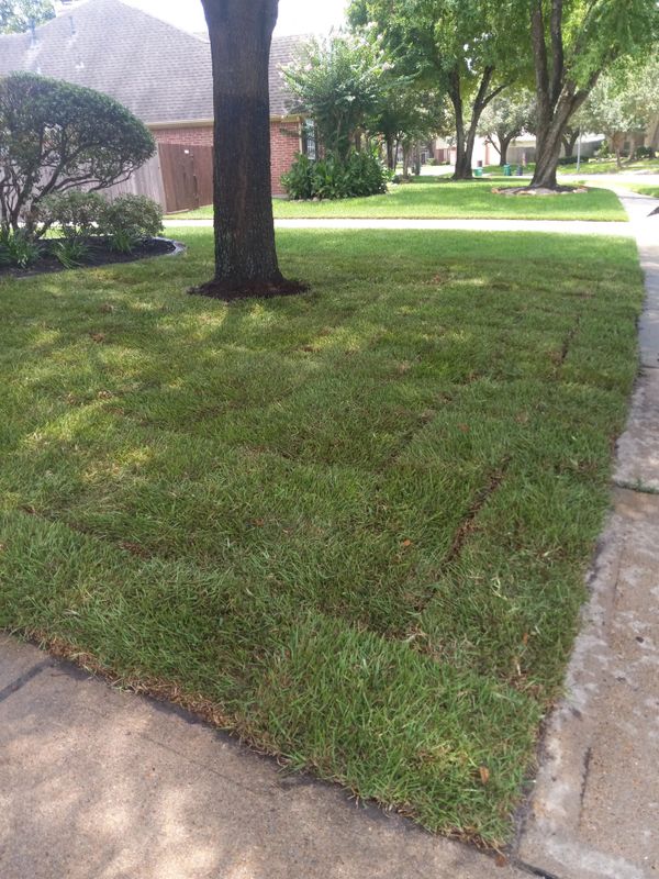 Landscaping Designs