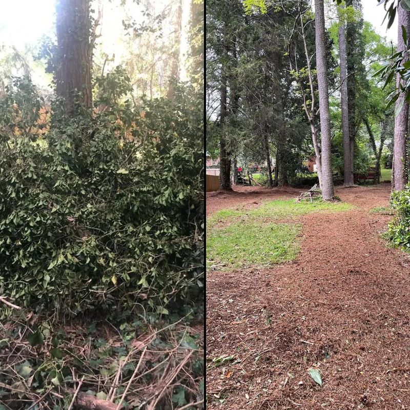 Satisfied customers Before and After