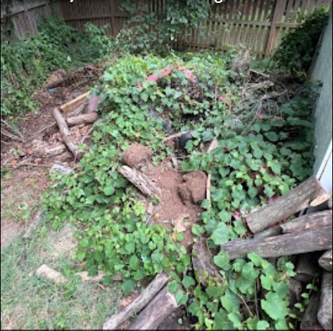 Bealeton Beautification: Transforming Spaces with Expert Junk Removal by Mountainside Property Services LLC