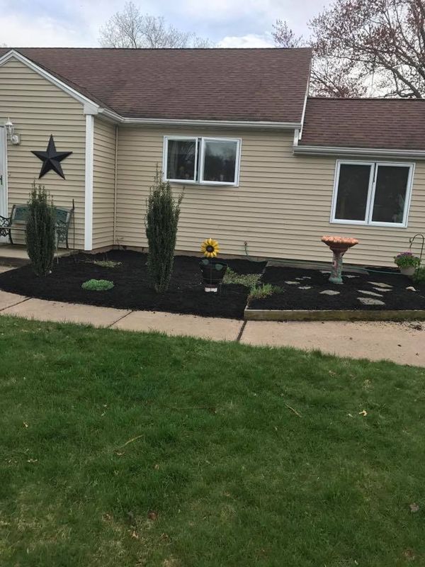 Mulch Installation