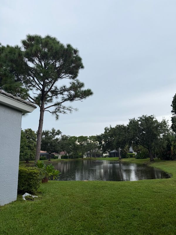Tree Removal gallery