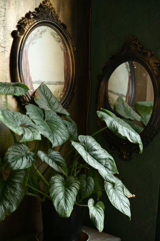 Mirror Installation