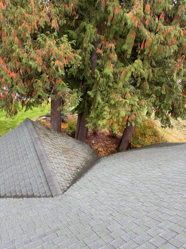 Immaculate Restoration: Swift Serve Transforms The Idaho Club with Expert Moss Removal and Gutter Cleaning